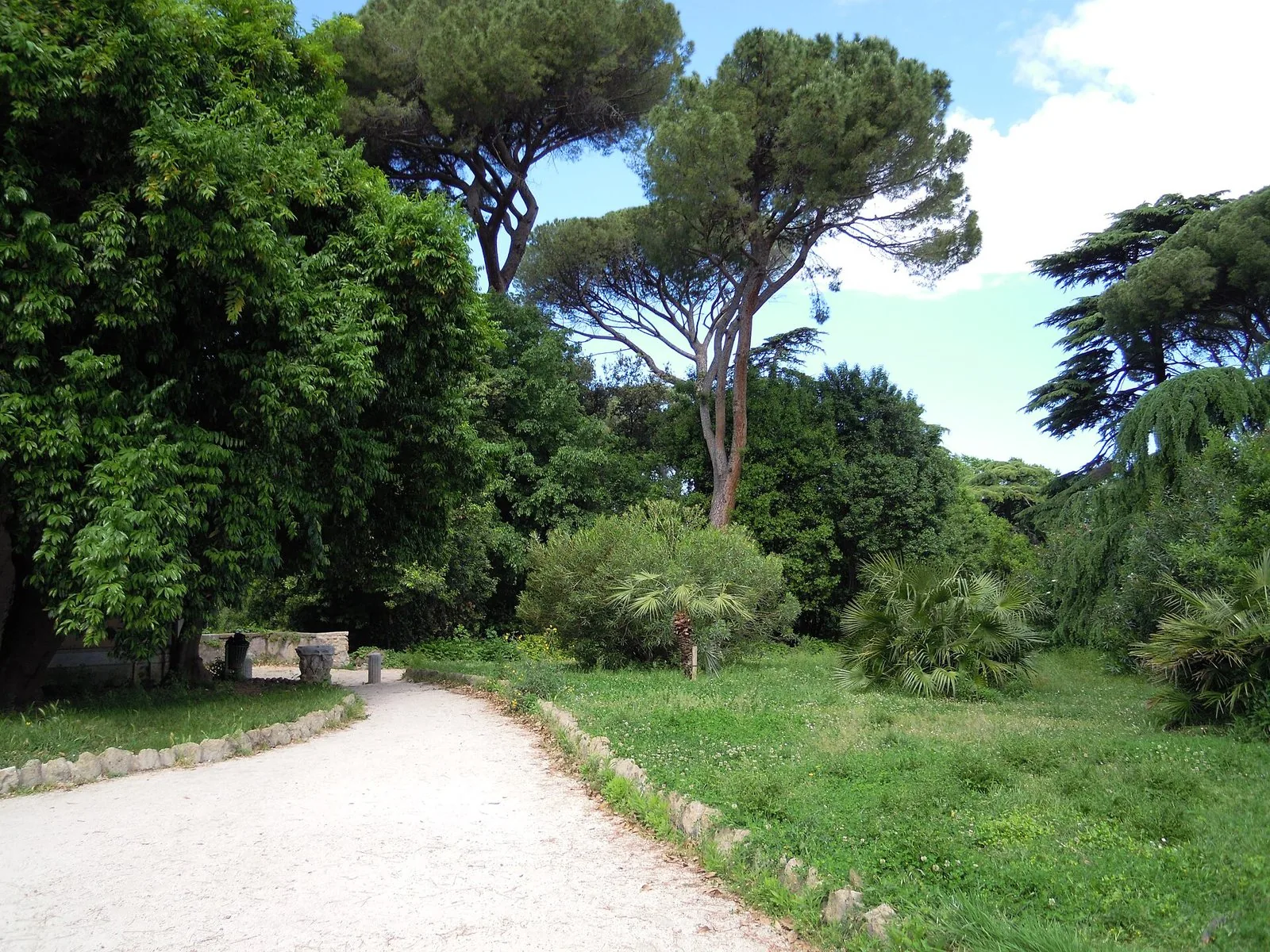 Il viale alberato di Villa Celimontana sul colle Celio a Roma